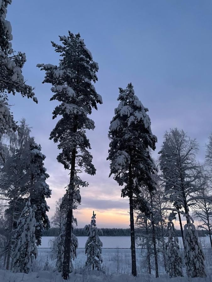 Koivu Rieskapaikka 빌라 외부 사진