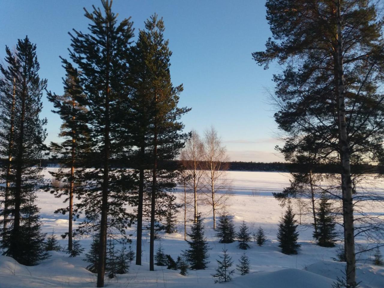 Koivu Rieskapaikka 빌라 외부 사진